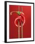 A Chili on Chopsticks-Marc O^ Finley-Framed Photographic Print