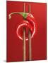 A Chili on Chopsticks-Marc O^ Finley-Mounted Photographic Print
