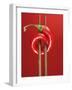 A Chili on Chopsticks-Marc O^ Finley-Framed Photographic Print