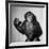 A Chimp, 1955-null-Framed Photographic Print