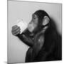 A Chimp Drinking a Cup of Tea-null-Mounted Photographic Print