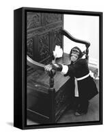 A Chimpanzee brushing up on the housework-Staff-Framed Stretched Canvas