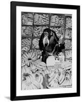 A Chimpanzee in Paradise-Staff-Framed Photographic Print