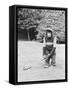 A Chimpanzee playing a round of golf-Staff-Framed Stretched Canvas