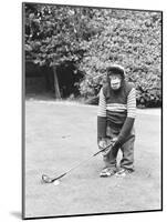 A Chimpanzee playing a round of golf-Staff-Mounted Premium Photographic Print