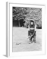 A Chimpanzee playing a round of golf-Staff-Framed Photographic Print