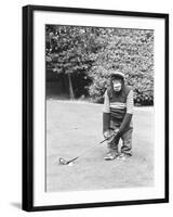 A Chimpanzee playing a round of golf-Staff-Framed Photographic Print