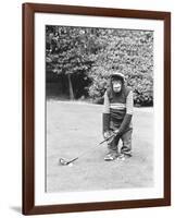 A Chimpanzee playing a round of golf-Staff-Framed Photographic Print