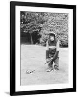 A Chimpanzee playing a round of golf-Staff-Framed Photographic Print