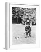 A Chimpanzee playing a round of golf-Staff-Framed Photographic Print