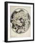 A Chinese Dragon-null-Framed Giclee Print