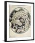 A Chinese Dragon-null-Framed Giclee Print