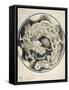 A Chinese Dragon-null-Framed Stretched Canvas