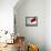 A Chinese Flag Flutters-null-Framed Stretched Canvas displayed on a wall