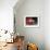 A Chinese Man Rides on a Sofa as Another Pedals a Delivery Tricycle-null-Framed Photographic Print displayed on a wall