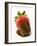 A Chocolate-Dipped Strawberry-Greg Elms-Framed Photographic Print