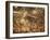 A Chocolate Labrador with a Ball in its Mouth Surrounded by Rain Soaked Foliage-Alex Saberi-Framed Photographic Print