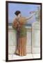 A Choice Blossom, 1918-John William Godward-Framed Giclee Print