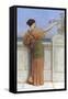 A Choice Blossom, 1918-John William Godward-Framed Stretched Canvas