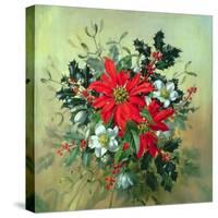 A Christmas Arrangement with Holly, Mistletoe and Other Winter Flowers-Albert Williams-Stretched Canvas
