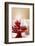 A Christmas Cupcakes in an Icing Sugar Snowstorm-Rogério Voltan-Framed Photographic Print