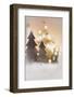 A Christmas Decoration with Christmas Tree in Warm Atmosphere-Petra Daisenberger-Framed Photographic Print