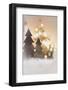 A Christmas Decoration with Christmas Tree in Warm Atmosphere-Petra Daisenberger-Framed Photographic Print