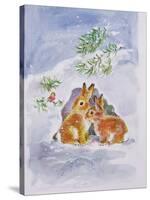 A Christmas Message-Diane Matthes-Stretched Canvas