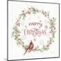 A Christmas Weekend VI Merry Christmas-Lisa Audit-Mounted Art Print