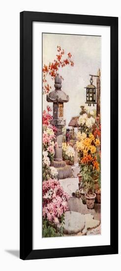 A Chrysanthemum Garden-Ella Du Cane-Framed Giclee Print