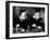 A Chump at Oxford, 1940-null-Framed Photographic Print