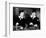 A Chump at Oxford, 1940-null-Framed Photographic Print