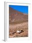 A Church in Machuca, Atacama Desert, Chile and Bolivia-Françoise Gaujour-Framed Photographic Print