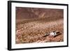 A Church in the Atacama Desert, Chile and Bolivia-Françoise Gaujour-Framed Photographic Print