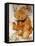 A Cinnamon Steiff Teddy Bear, circa 1905-Steiff-Framed Stretched Canvas