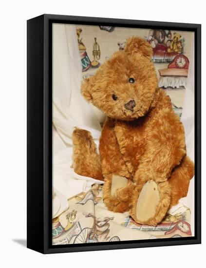 A Cinnamon Steiff Teddy Bear, circa 1905-Steiff-Framed Stretched Canvas