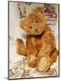 A Cinnamon Steiff Teddy Bear, circa 1905-Steiff-Mounted Giclee Print