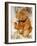 A Cinnamon Steiff Teddy Bear, circa 1905-Steiff-Framed Giclee Print