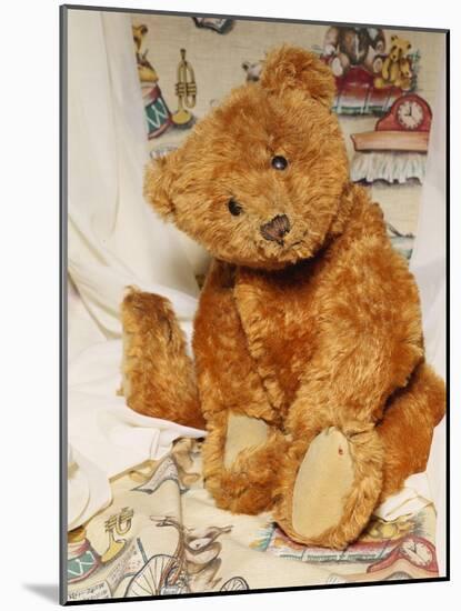 A Cinnamon Steiff Teddy Bear, circa 1905-Steiff-Mounted Giclee Print