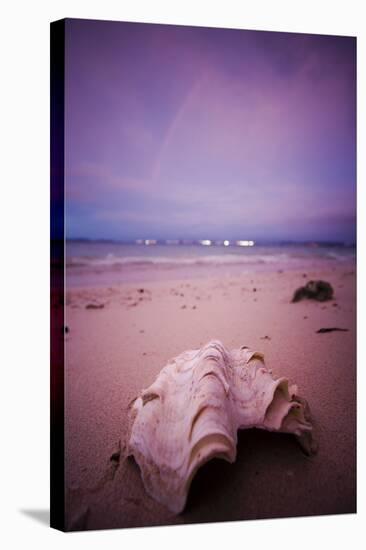 A Clam Shell Sits on a Beach While a Rainbow Appears on the Island of Mamutik, Borneo, Malaysia-Dan Holz-Stretched Canvas