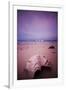 A Clam Shell Sits on a Beach While a Rainbow Appears on the Island of Mamutik, Borneo, Malaysia-Dan Holz-Framed Photographic Print