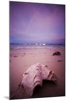 A Clam Shell Sits on a Beach While a Rainbow Appears on the Island of Mamutik, Borneo, Malaysia-Dan Holz-Mounted Photographic Print