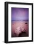 A Clam Shell Sits on a Beach While a Rainbow Appears on the Island of Mamutik, Borneo, Malaysia-Dan Holz-Framed Photographic Print