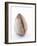 A Clam-Alain Caste-Framed Photographic Print