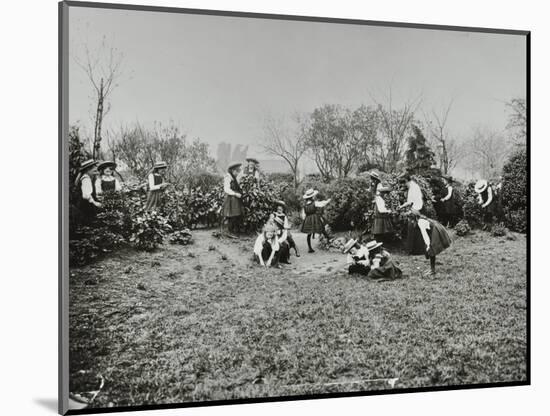 A Class from Fulham County Secondary School Having a Nature Lesson, London, 1908-null-Mounted Photographic Print