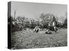 A Class from Fulham County Secondary School Having a Nature Lesson, London, 1908-null-Stretched Canvas