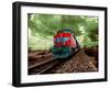 A Classic Vintage Cargo Train in America-Salvatore Elia-Framed Photographic Print