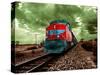 A Classic Vintage Cargo Train in America-Salvatore Elia-Stretched Canvas