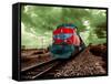 A Classic Vintage Cargo Train in America-Salvatore Elia-Framed Stretched Canvas