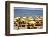 A Classical Lido on the Ionian Sea, on the Basilcata South Coast, Italy, Europe-Olivier Goujon-Framed Photographic Print